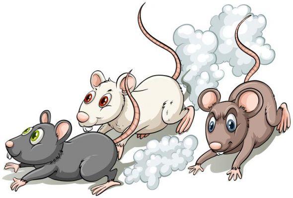 Poema El congreso de los ratones